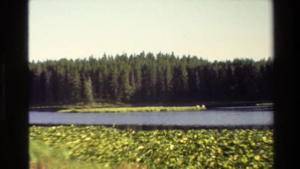Wide Grand Teton lake landscape from 1980, with lily pads, calm water, dense conifers, bright sky, and deer near the distant bank.