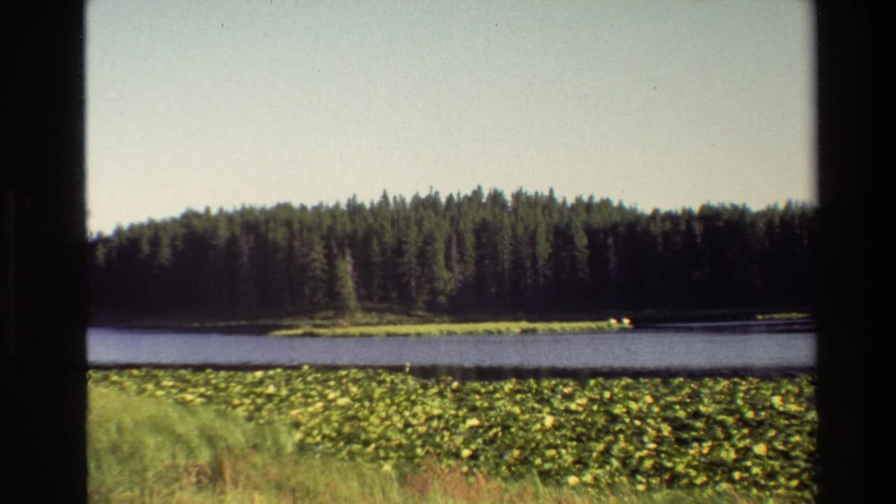 Lake and evergreen forest beyond lily-covered water and grass, seen through a Super 8 frame.