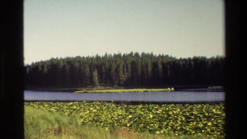 1980 Grand Teton home-movie frame showing still water, forested shore, lily pads, marsh grass, pale sky, and visible film borders.