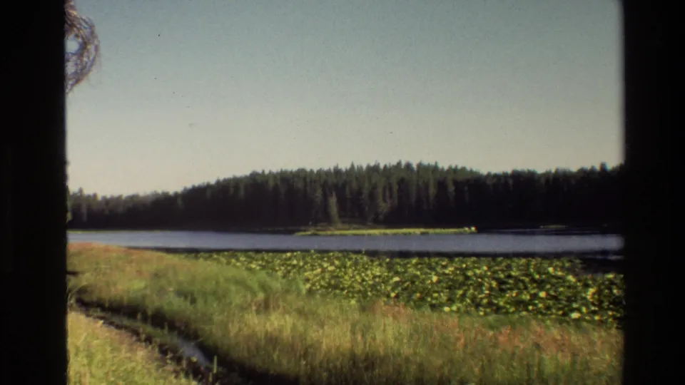 1980 Grand Teton landscape frame showing water, a dense evergreen shore, lily-covered foreground, marsh grasses, and visible 8mm edge artifacts.