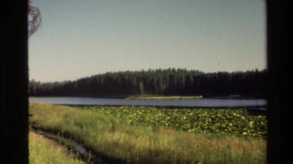 1980 Grand Teton 8mm frame at the end of the zoom, with a broad lake view, forested shore, lily pads, marsh grass, and pale sky.