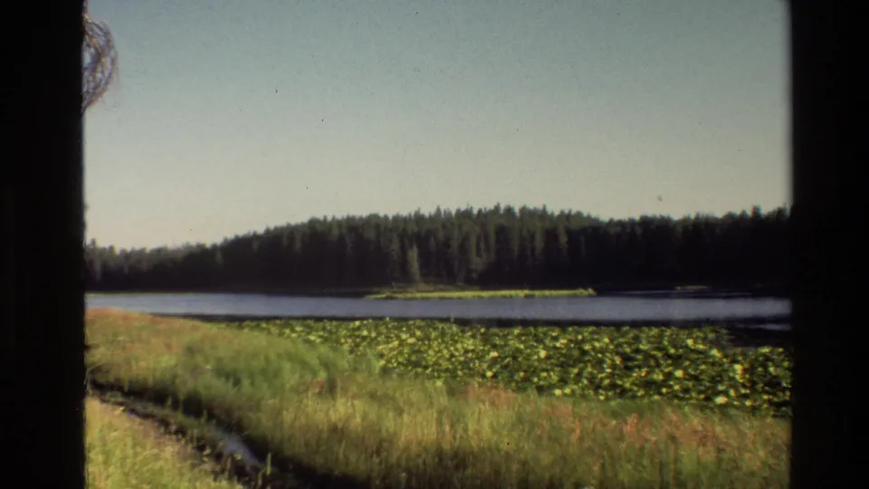 1980 8mm Grand Teton, Wyoming view of calm water with lily pads, grassy shoreline, distant forest, and open sky.