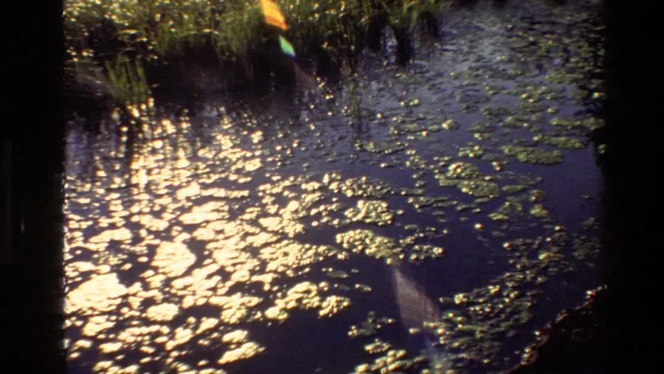1980 8mm Grand Teton, Wyoming water close-up with lily pads, shoreline vegetation, strong glare, and soft film texture.