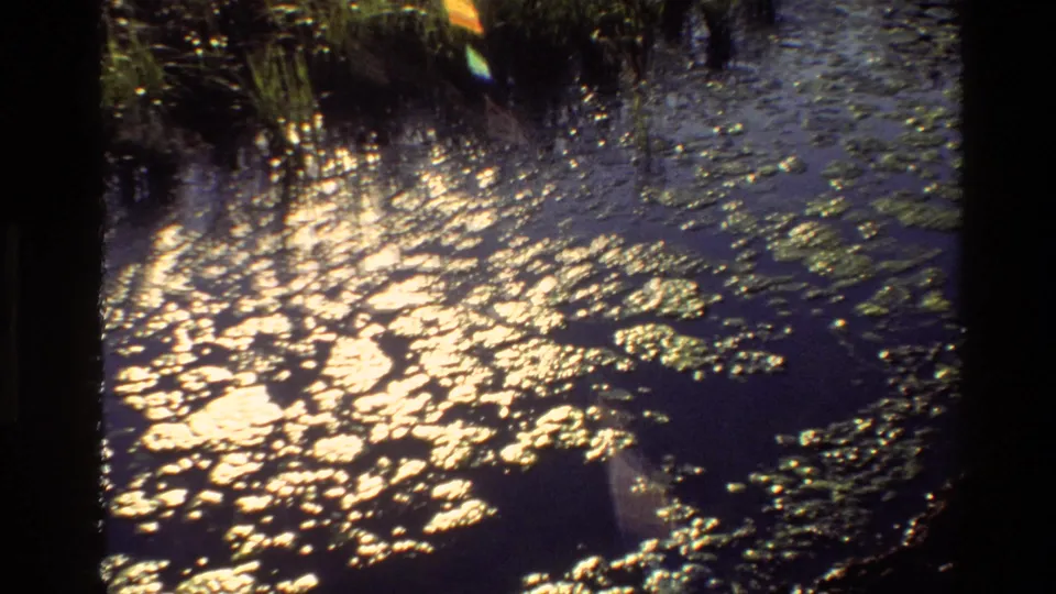 1980 Grand Teton 8mm frame showing bright reflections on murky wetland water with reeds and floating vegetation.