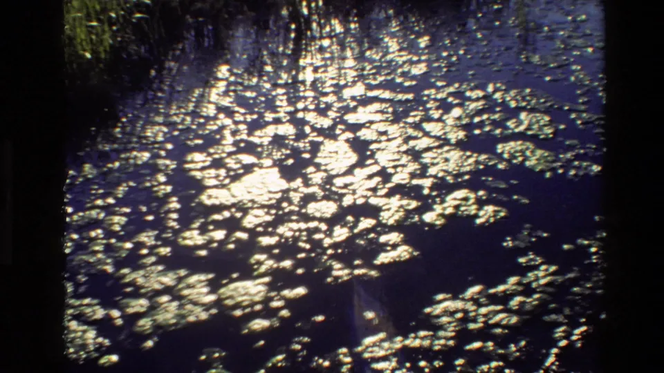 Grand Teton wetland water in 1980 home-movie footage, with sun sparkle, ripples, and floating aquatic plants.