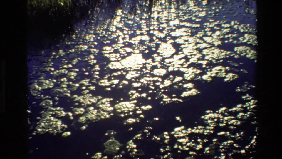 8mm Grand Teton wetland frame with dense light reflections over dark water and scattered floating plants.