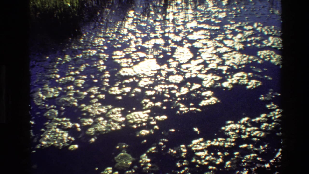 Grand Teton home-movie frame showing reflective black water with irregular algae-like texture and heavy contrast.