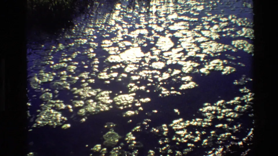 1980 Grand Teton 8mm frame of stagnant water, with harsh sunlight reflections over algae-like debris and dark borders.