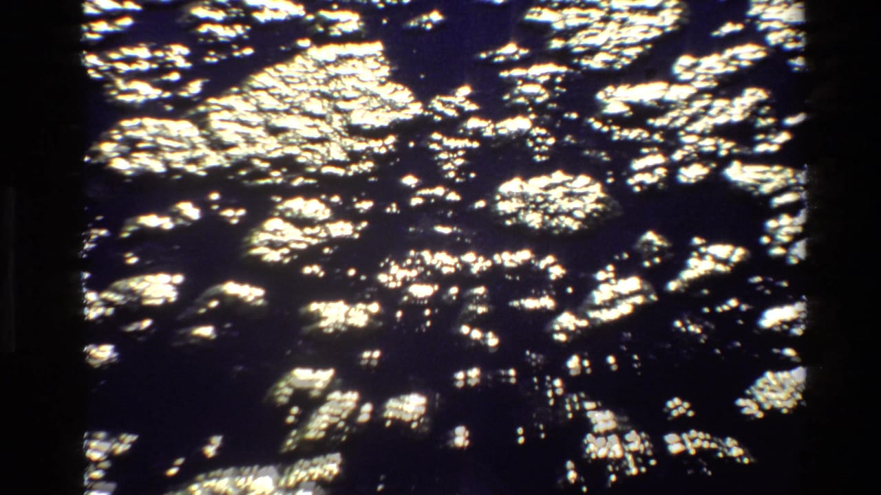 Sunlit patches fall across rocks and dark forest ground in deep shade.