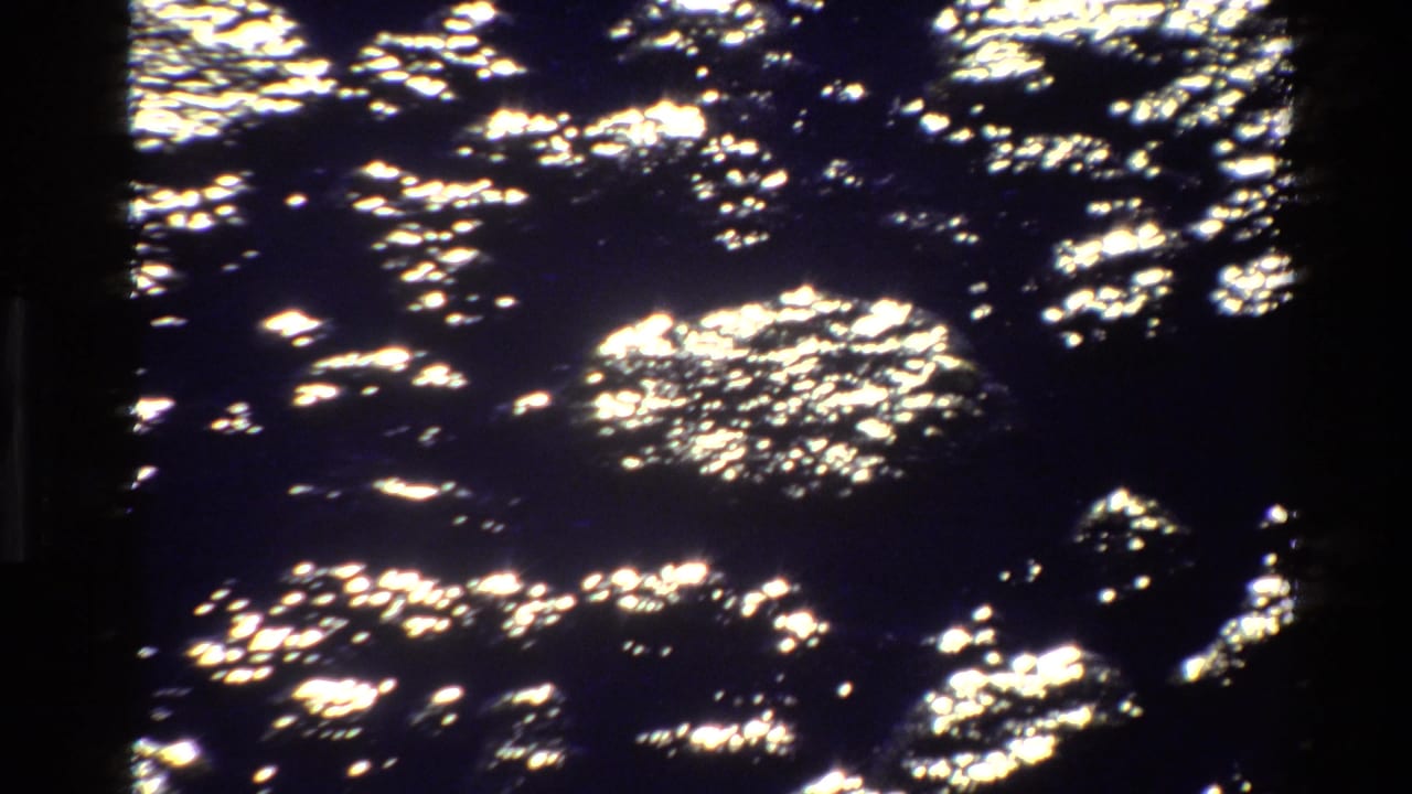 High-contrast sunlight breaks through tree shade onto a rocky forest floor.