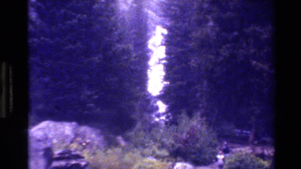 Purple-blue 8mm frame of trees near water, with a bright vertical film light streak through the center.