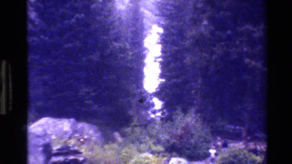 Soft 8mm frame showing shoreline brush, dark water, and a strong vertical light streak in a purple-blue cast.