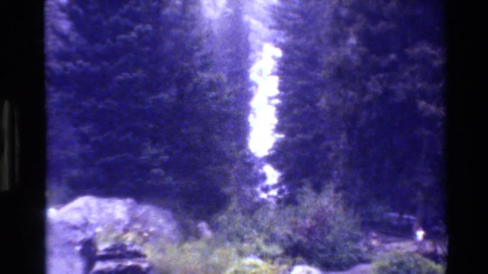 Final 8mm frame of a shadowed wooded shoreline with water, brush, and a bright vertical exposure streak.