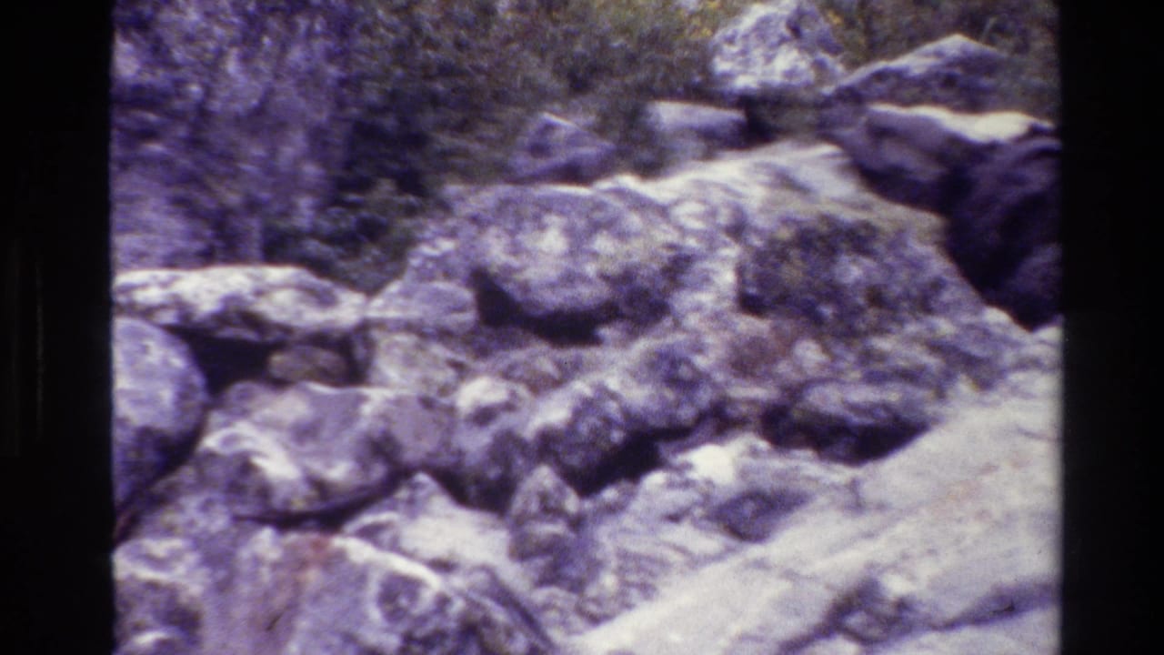 Rocky Grand Teton terrain with clustered boulders, pale ground, and soft 8mm grain; the animal is not clearly visible in this frame.
