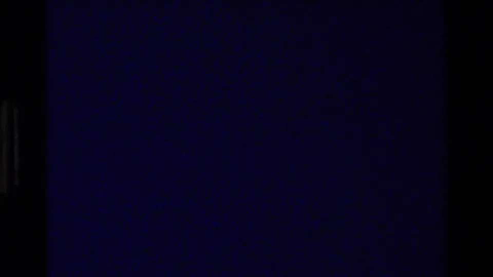 Dark blue end frame from the 8mm scan, with faint film grain and black border visible instead of the wildlife scene.