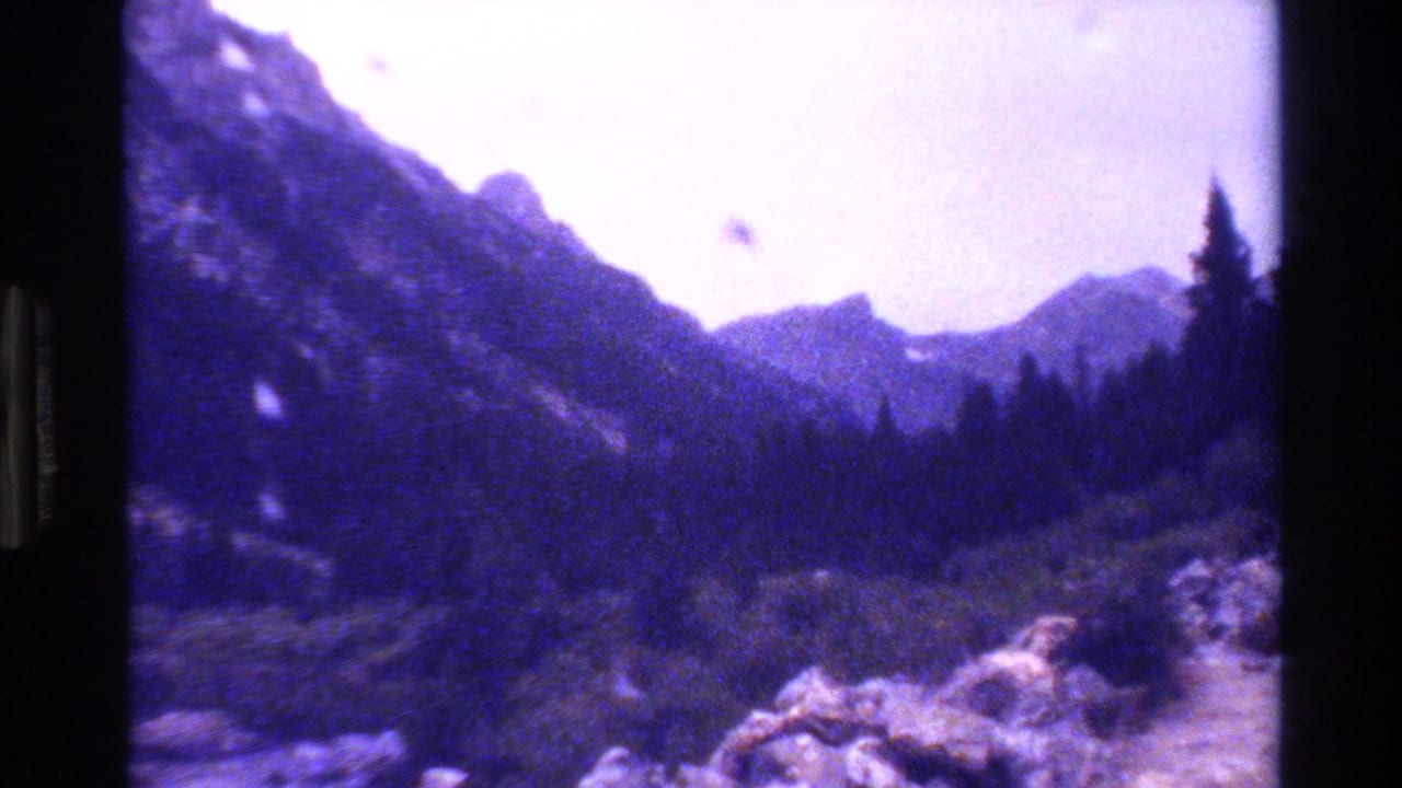 Purple-tinted mountain valley with forest, rocks, and bright sky.