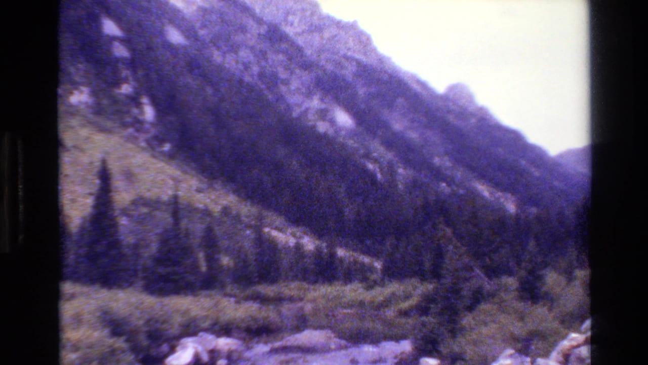 Rugged mountain face above dark evergreens and low brush under a bright sky.