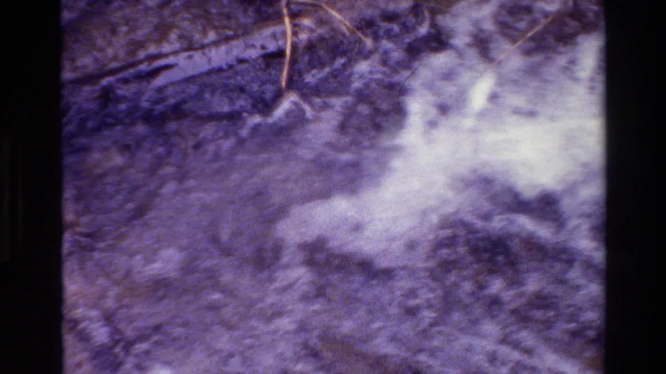 Close 8mm nature detail in Grand Teton showing textured ground with twigs, pebbles, and pale water movement or foam.