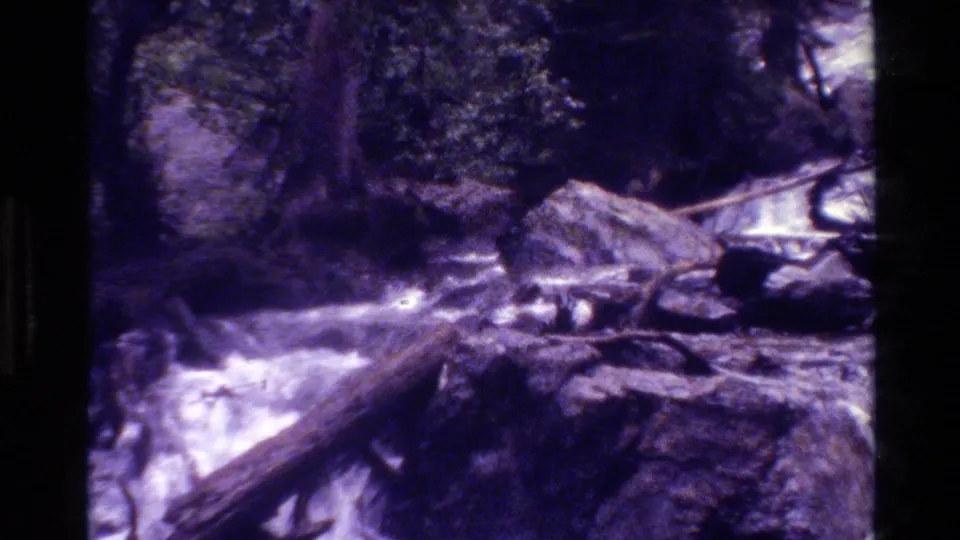 1980 8mm Grand Teton stream scene with rocks, fallen logs, shaded trees, and bright water moving through forest.