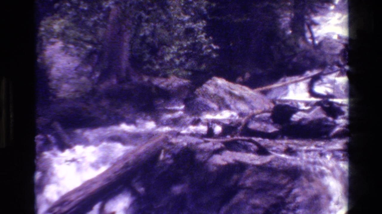 1980 8mm Grand Teton footage shows whitewater running through rocks and fallen logs in a wooded river channel.