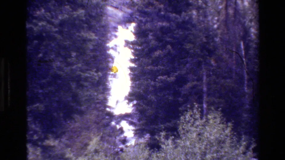 Later 8mm frame with a bright vertical waterfall area surrounded by dense forest and foreground brush in Grand Teton.