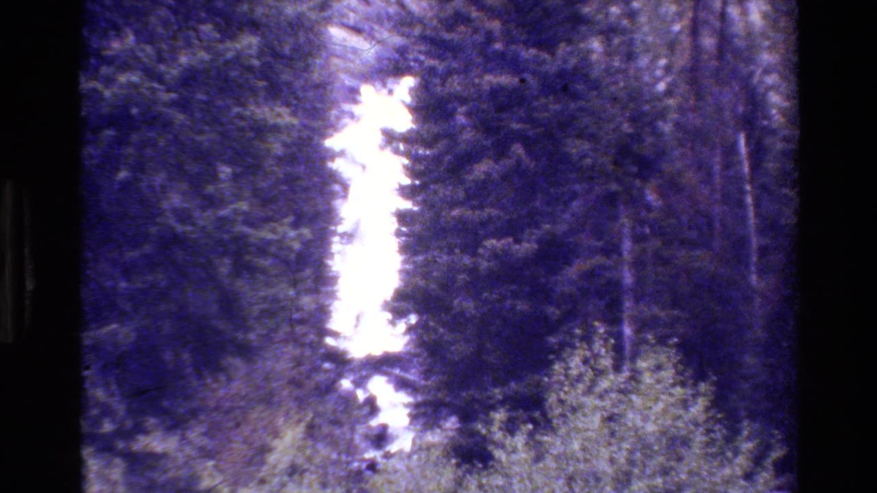 Bright waterfall framed by dark forest, with heavy grain and purple color shift.