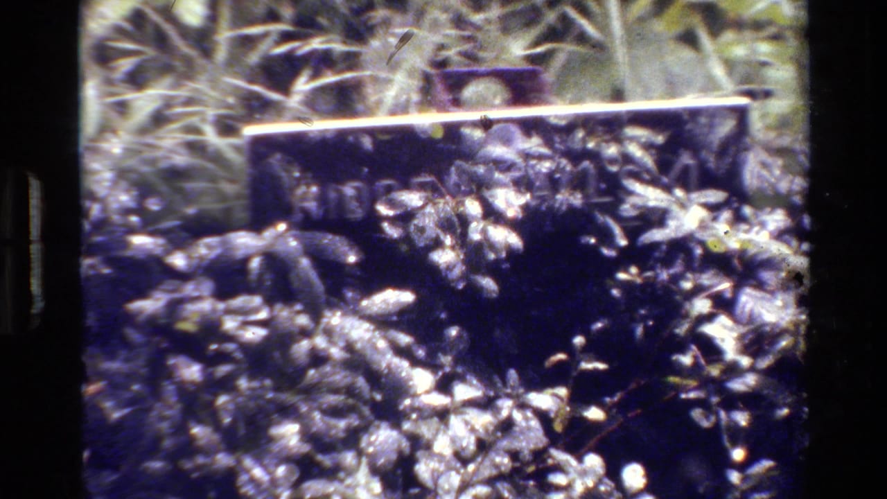 1980 8mm Grand Teton travel footage with a partially obscured Hidden Falls viewpoint sign and leafy foreground.