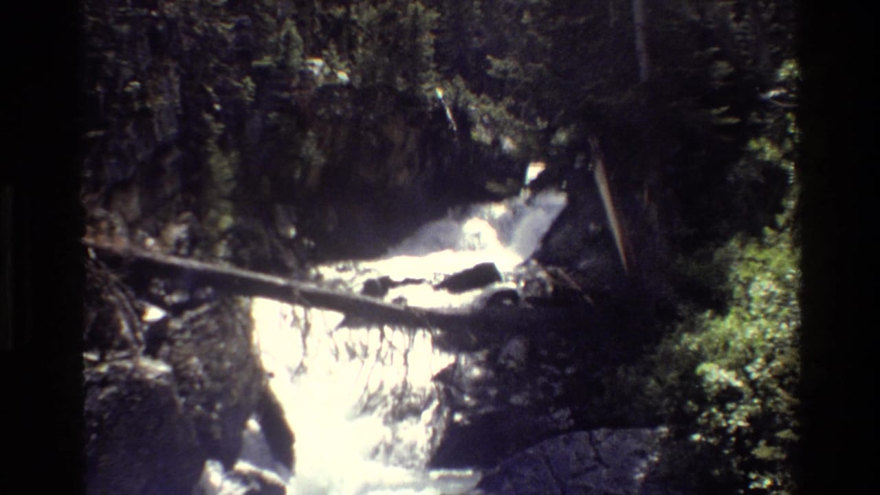 Grand Teton mountain stream footage showing whitewater moving through rocks and fallen timber in a shaded forest channel.