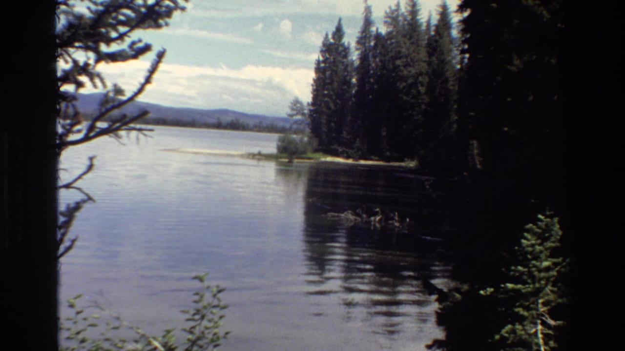 Grand Teton 1980 lake view with dense evergreens, shaded foreground trees, distant hills, and small indistinct shapes on the water.