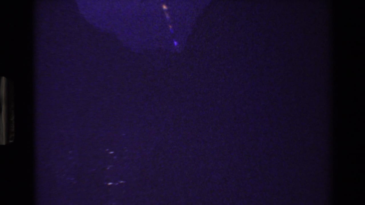 Dark purple-tinted frame with only faint landscape detail visible.
