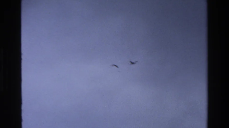 Two distant birds fly across an open blue sky, rendered with soft 8mm focus and slight blur.