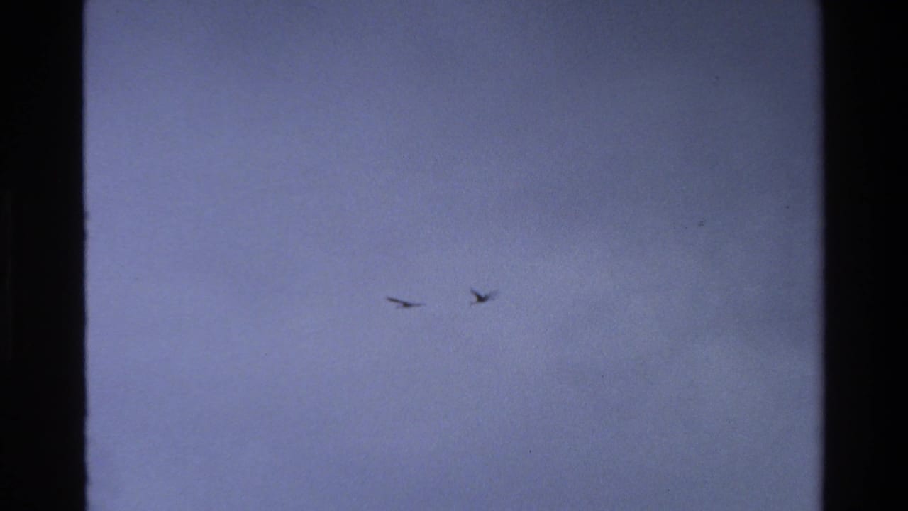 1980 Grand Teton home-movie frame with two bird silhouettes crossing a soft blue-grey sky.