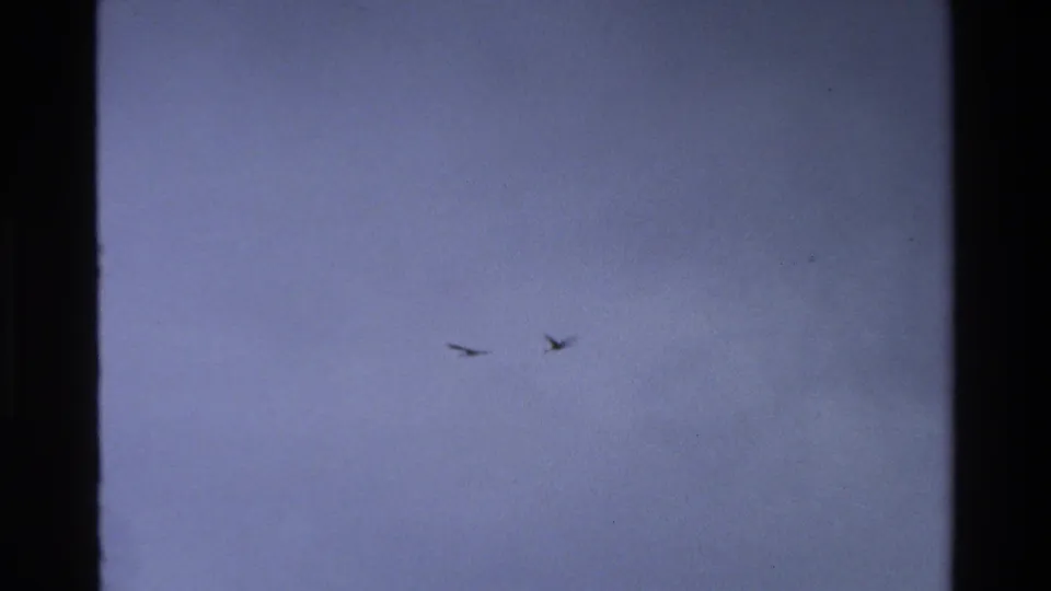 1980 Grand Teton home-movie frame with two bird silhouettes crossing a soft blue-grey sky.