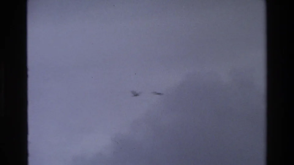 A grainy 8mm frame shows blurred birds against muted cloud cover before the landscape view opens.