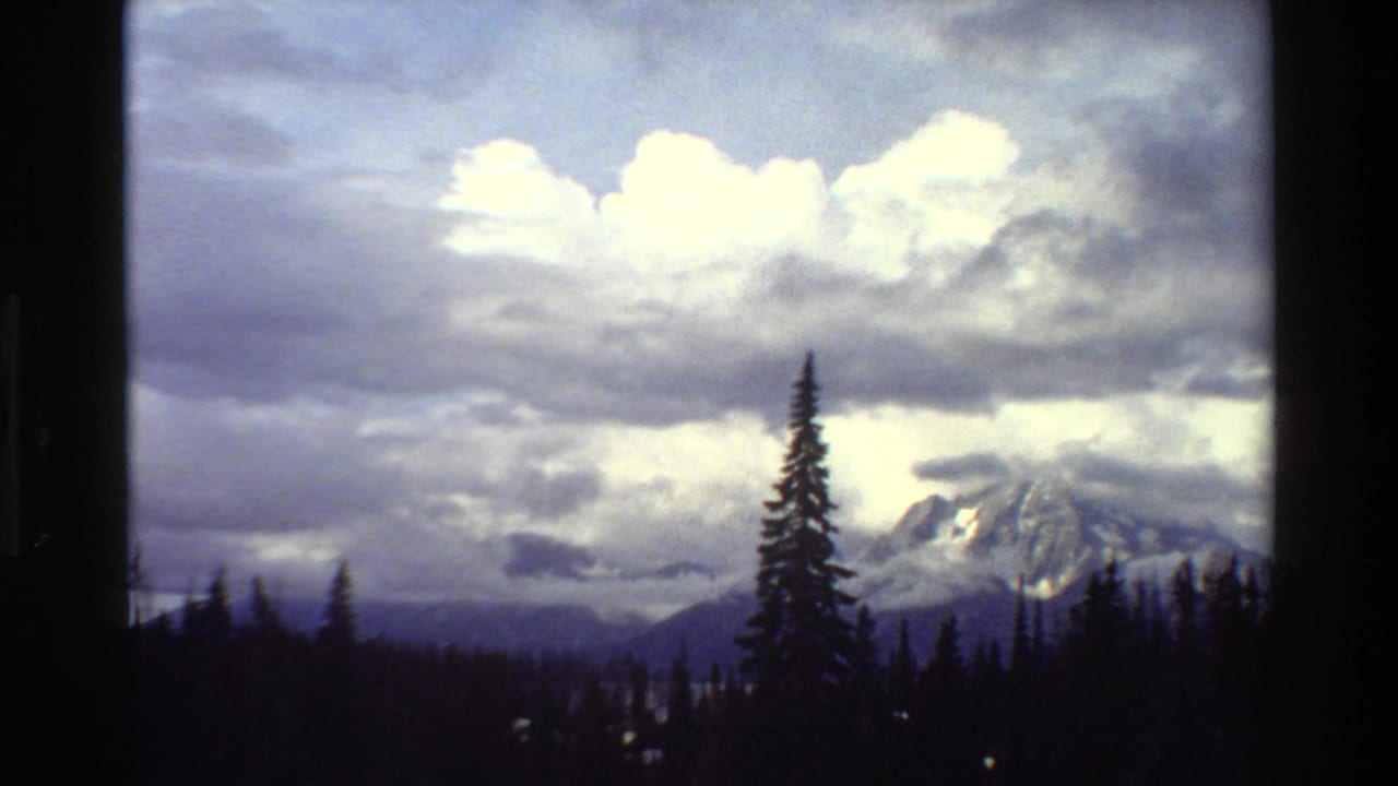1980 Grand Teton, Wyoming 8mm frame showing a snow-covered mountain beyond a dark evergreen forest and tall foreground conifer.