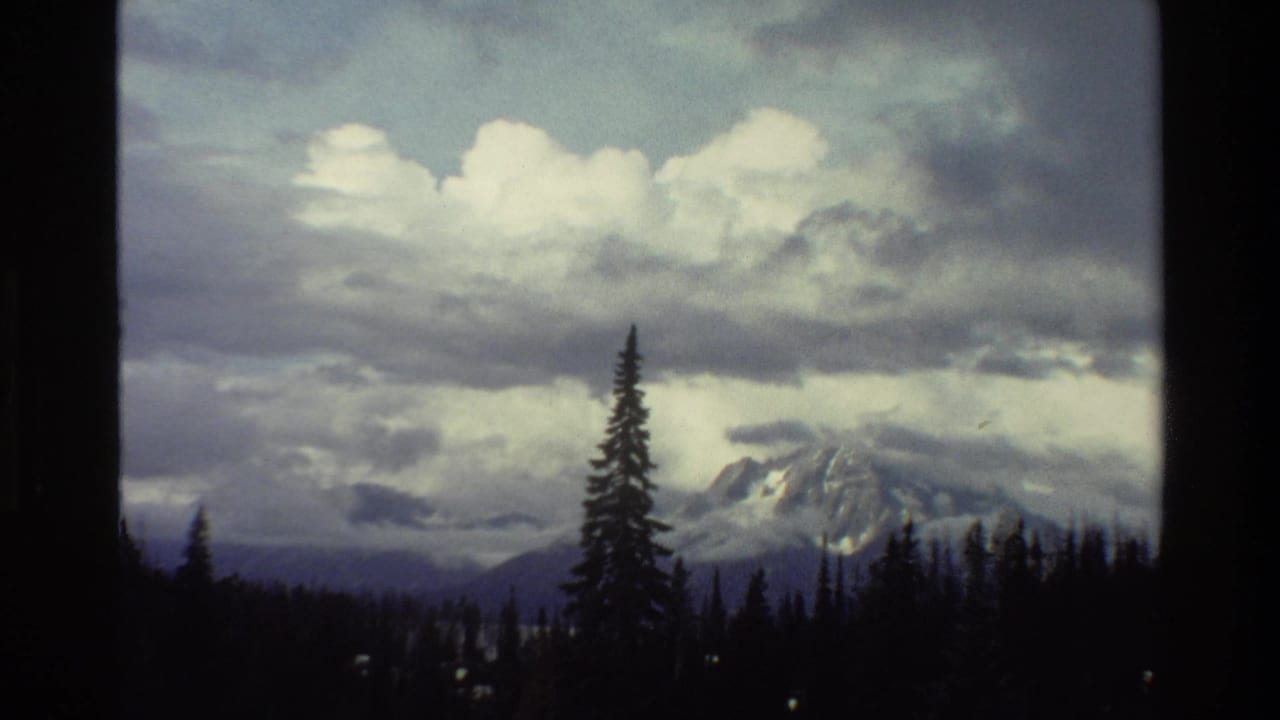 Evergreen silhouette and distant snowy mountain beneath a cloudy sky.