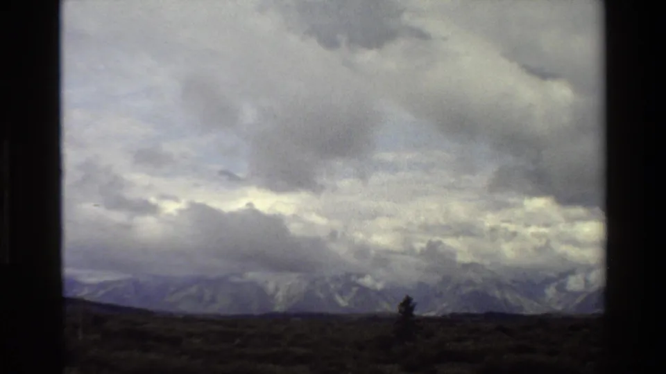 Distant Grand Teton peaks in Wyoming, 1980, beneath gray clouds, with open foreground terrain and a small evergreen tree near the lower right.