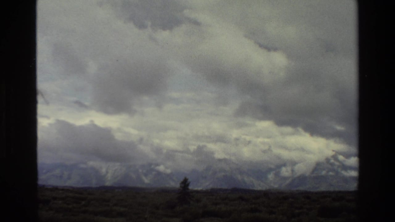 Cloudy mountain skyline seen across dark open terrain with one small tree.