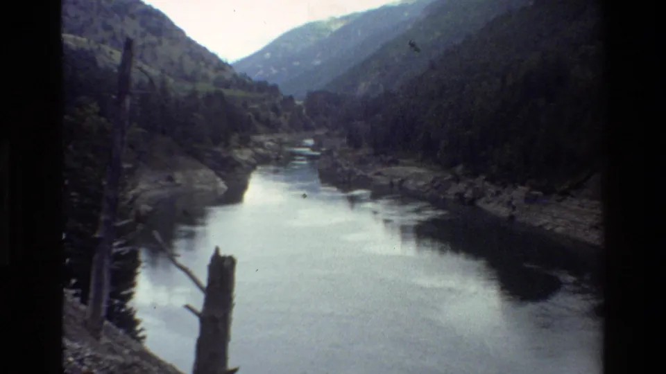1980 8mm view of a calm river winding through a forested Grand Teton mountain valley, framed by a bare foreground trunk.