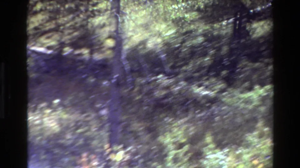 The final frame shows a wooded Grand Teton slope with dense foliage and a faint deer shape near the lower right.