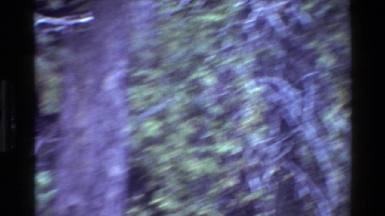 Blurred handheld view of roadside trees and green vegetation.