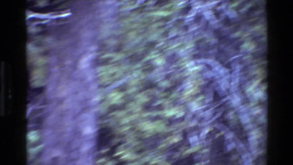 Soft, motion-blurred 8mm view of trees and roadside vegetation during the Grand Teton, Wyoming travel footage.