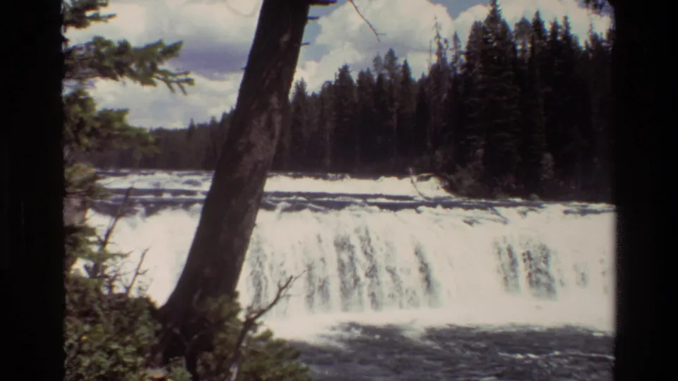 Grand Teton 8mm frame showing the waterfall closer in view, with a leaning tree trunk, evergreen forest, rocky edge, and foaming river water.