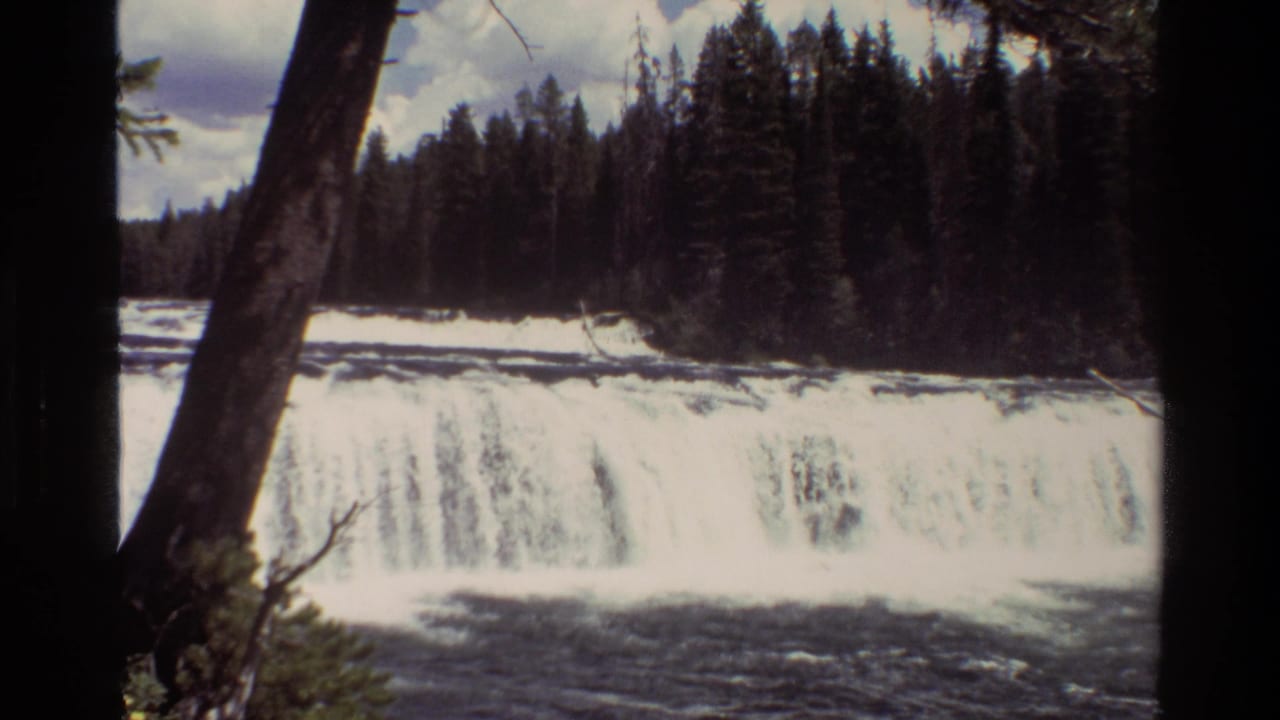 1980 8mm Grand Teton waterfall scene with white water below dense evergreens and a leaning foreground tree trunk.
