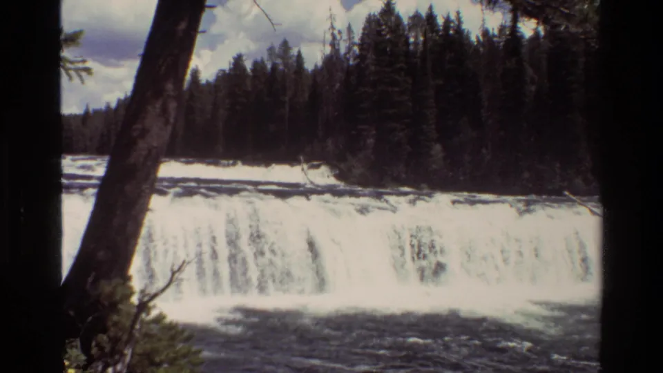 1980 8mm Grand Teton waterfall scene with white water below dense evergreens and a leaning foreground tree trunk.