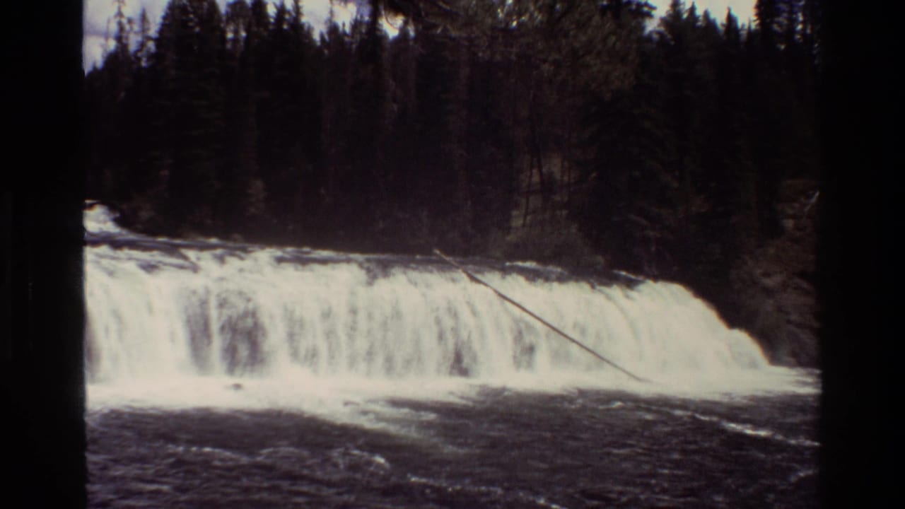 Waterfall and forest seen from a steady distance with a branch crossing the falls.