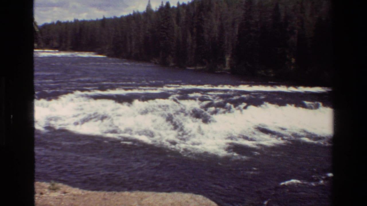 Small whitewater drop on a dark river bordered by evergreen forest and rocky shore.