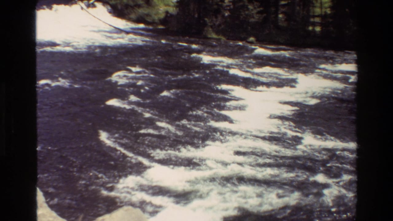 Fast river current with bright foam and evergreen trees beyond.