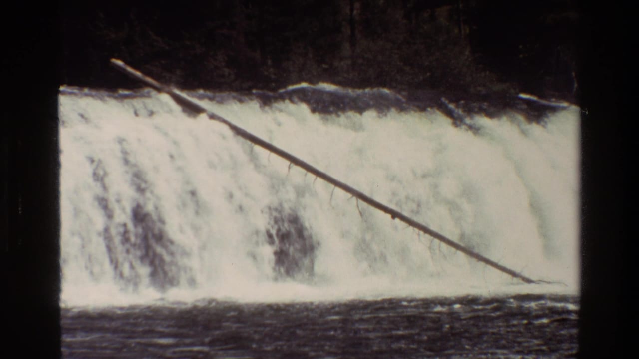 Waterfall with a fallen tree trunk slanting across the rushing water.