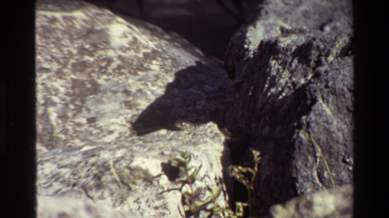1980 8mm Grand Teton frame showing pale boulders, a dark rock edge, shadow, and sparse green plants.